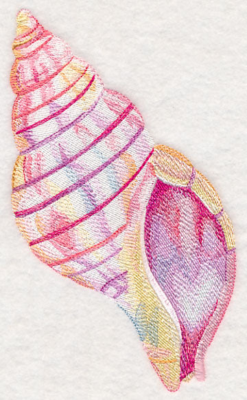 Tulip Shell in Watercolor