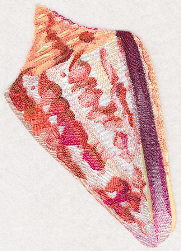Cone Shell in Watercolor