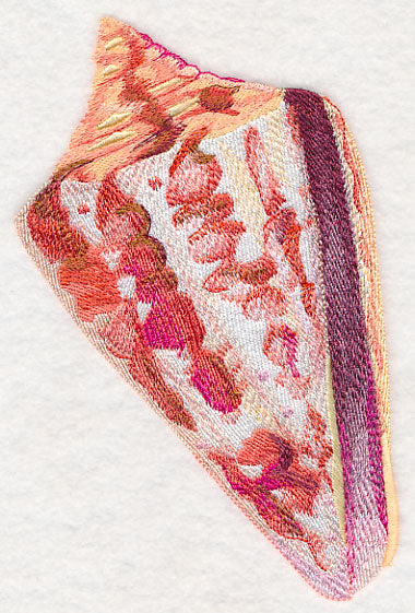 Cone Shell in Watercolor