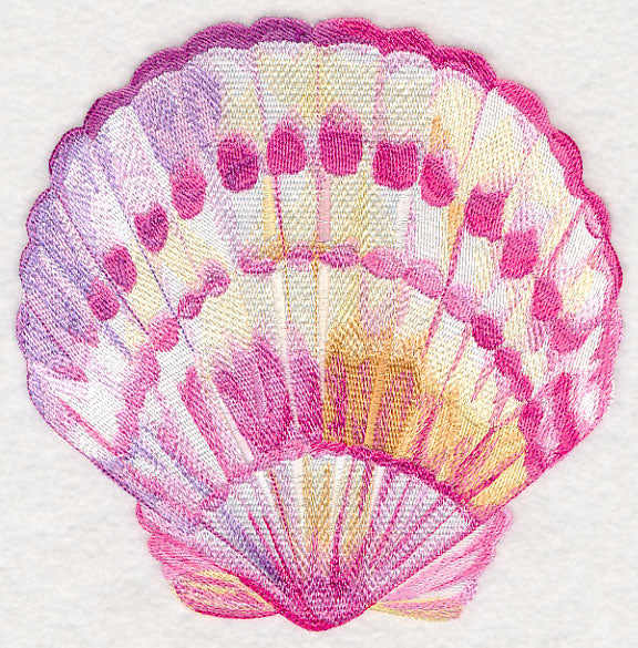 Scallop Shell in Watercolor