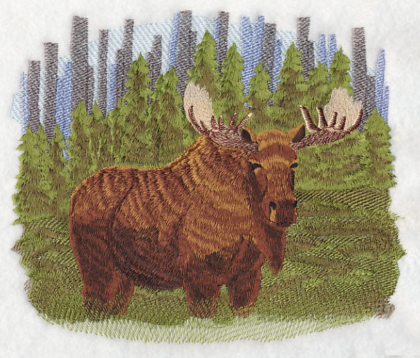 Moose In The Woods