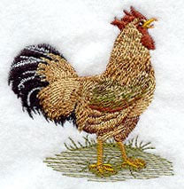 Fashion Rooster 3 - Mirror