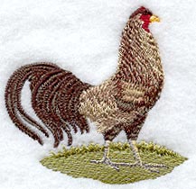 Fashion Rooster 4 - Mirror