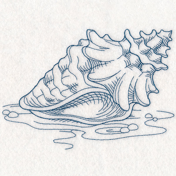 Etching Seashell