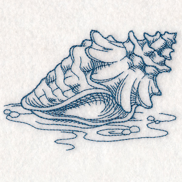 Etching Seashell