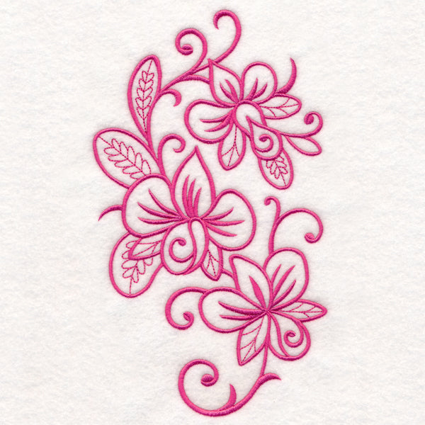 Flowers in Flourish - Orchid