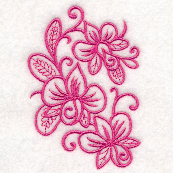 Flowers in Flourish - Orchid