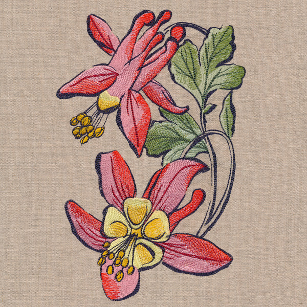 Flowers of the Forest - Columbine