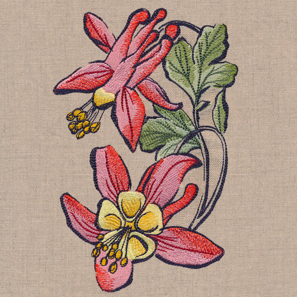 Flowers of the Forest - Columbine