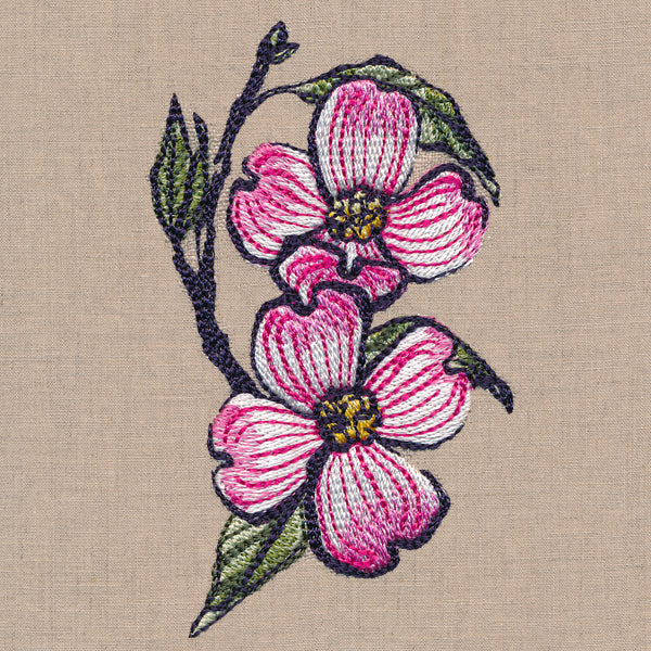 Flowers of the Forest - Dogwood
