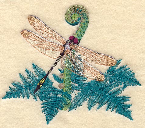 Pale-faced Clubskimmer Dragonfly with Fern