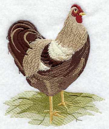 Fashion Hen 4 - Mirror