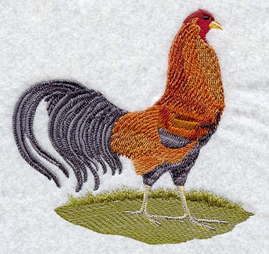 Fashion Rooster 4 - Mirror