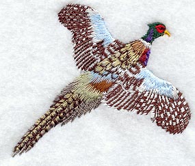Pheasant