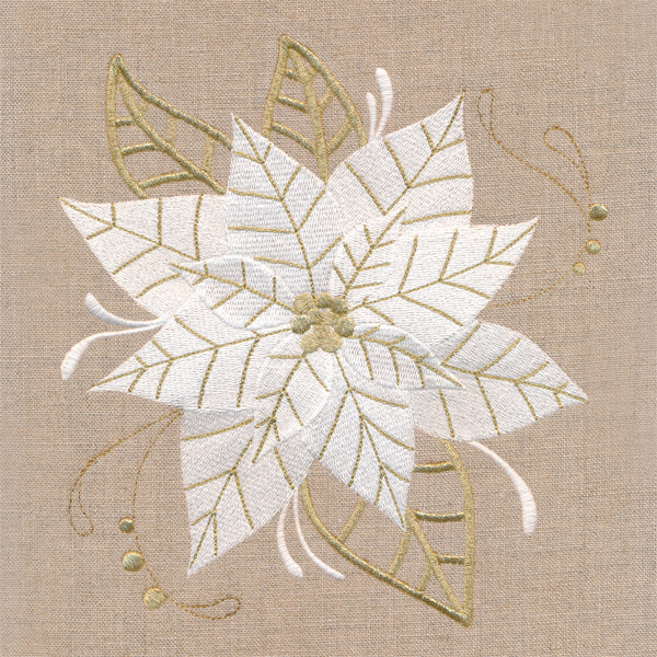 Golden Glamour Poinsettia