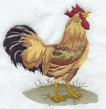 Fashion Rooster 3 - Mirror