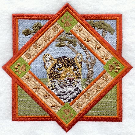 Leopard Track Portrait