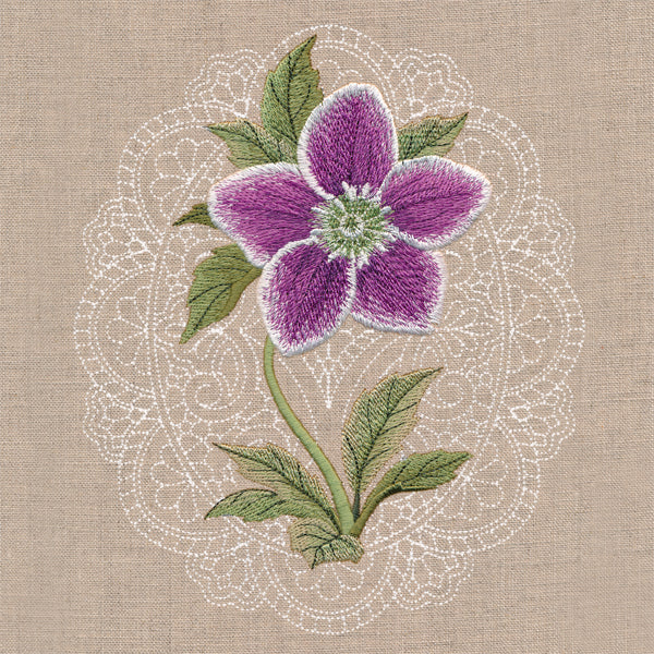 Floral Cameo - Lenten Rose