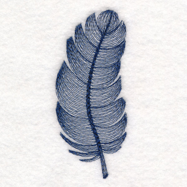 Elegant Etching Feather