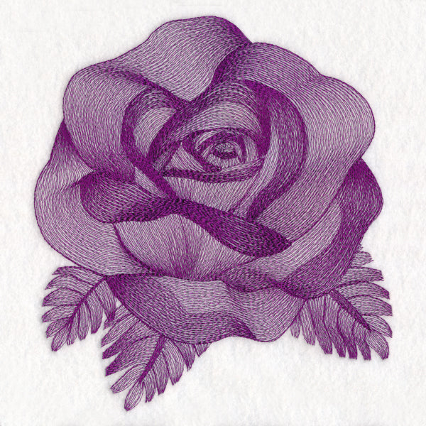 Elegant Etching Rose