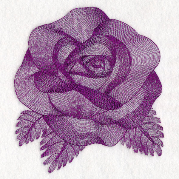 Elegant Etching Rose