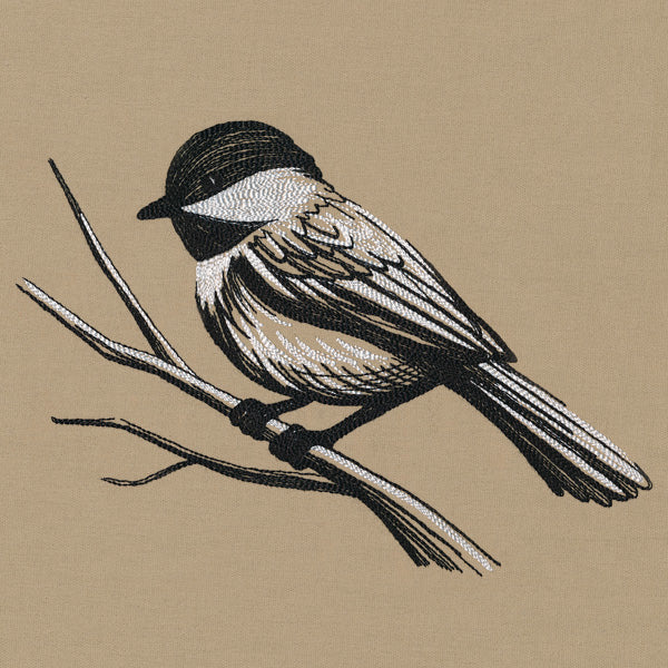 Midtone Chickadee Sketch