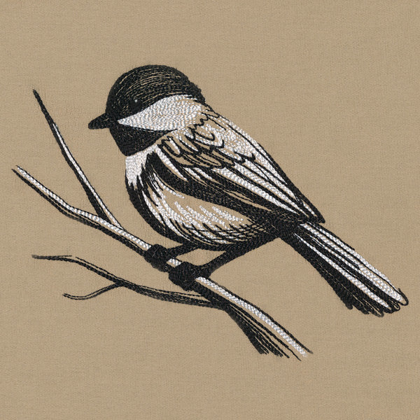 Midtone Chickadee Sketch