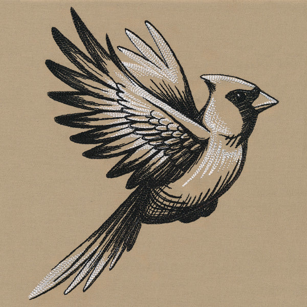 Midtone Cardinal Sketch