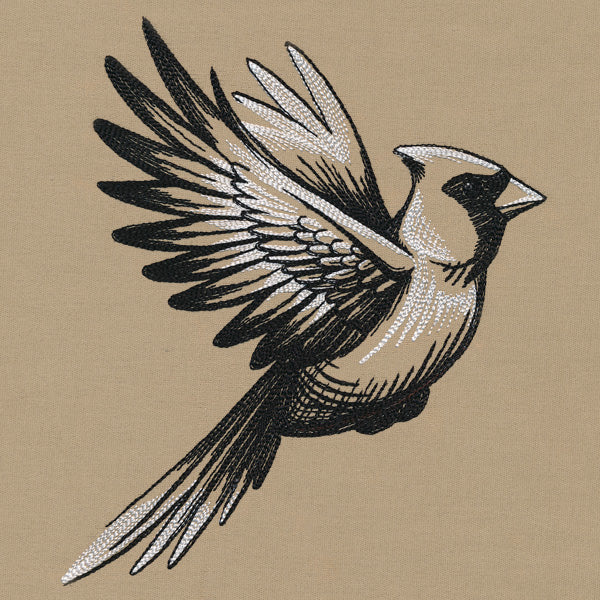 Midtone Cardinal Sketch