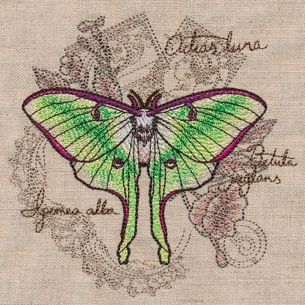 Luna Moth Collage