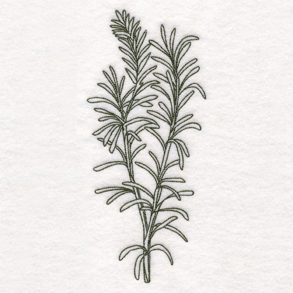 Botanical Treasures - Rosemary (Vintage)