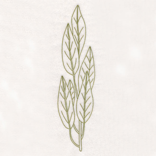 Botanical Treasures - Bay Leaves (Vintage)