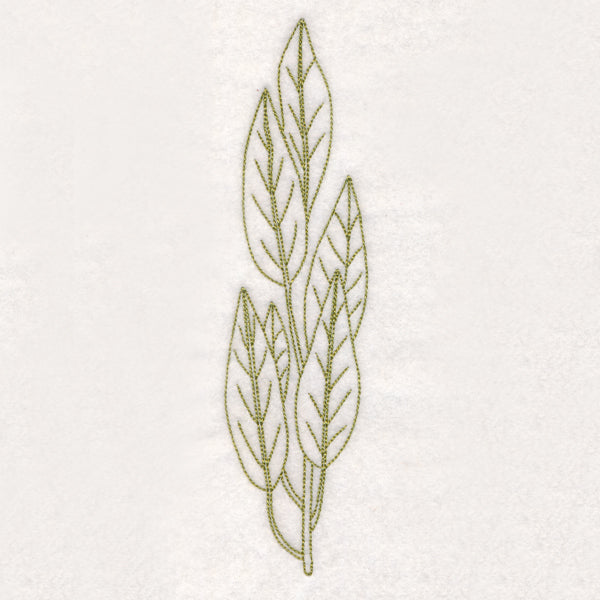 Botanical Treasures - Bay Leaves (Vintage)