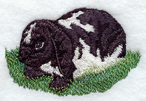Lop-Eared Rabbit