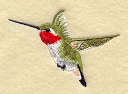 Ruby Throated Hummingbird