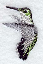 Ruby Throated Hummingbird (Female)