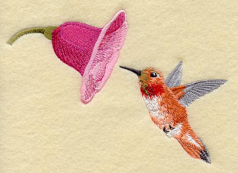Rufous Hummingbird & Flower