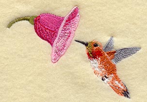 Rufous Hummingbird & Flower