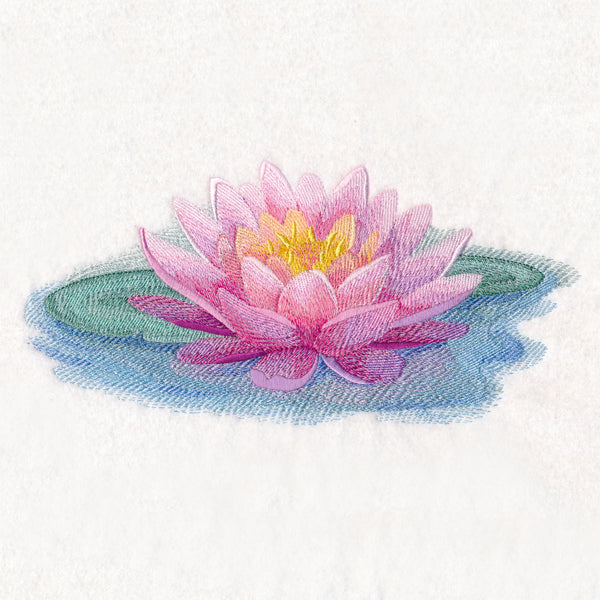 Soft and Serene Water Lily