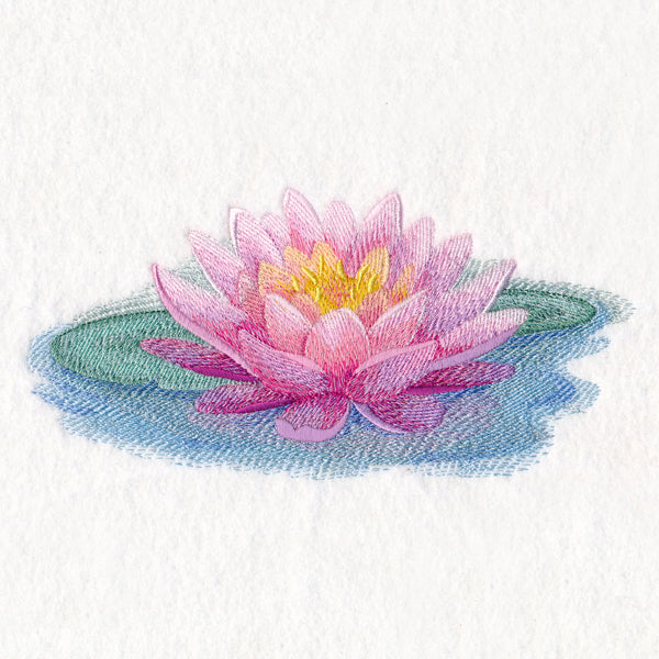 Soft and Serene Water Lily