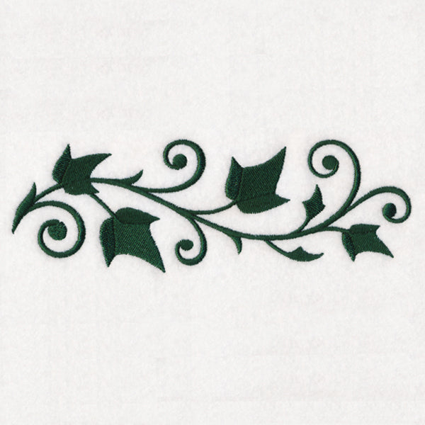 Elegant Ivy Border