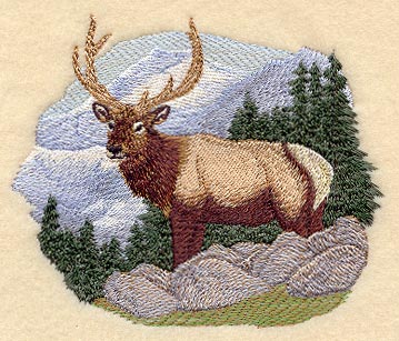 Elk & Mountain Scene