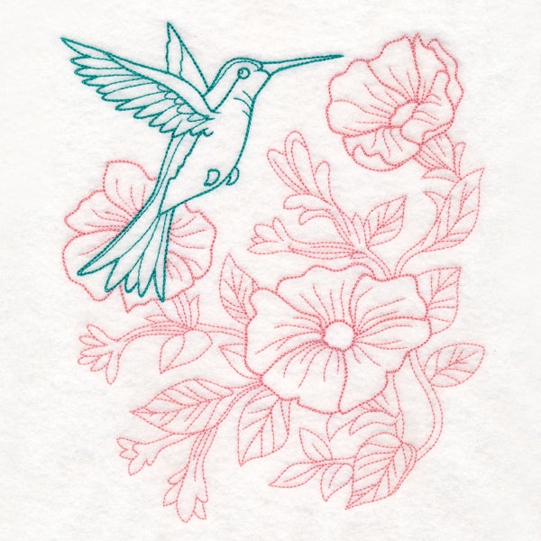 Garden Hummingbird Etching