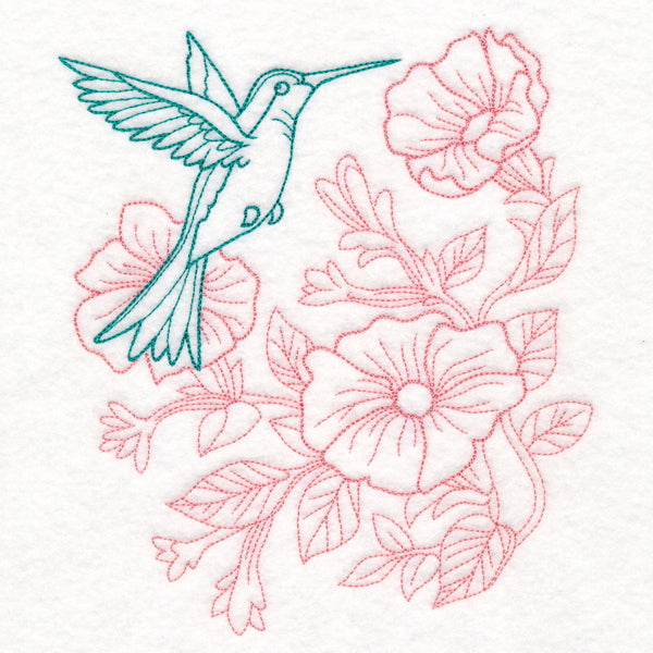 Garden Hummingbird Etching