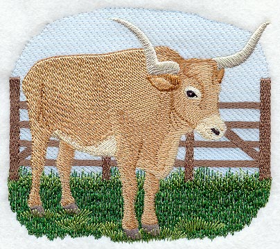 Longhorn Steer Scene