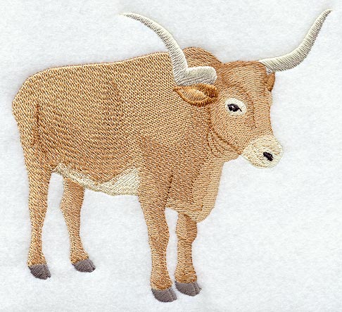 Longhorn Steer