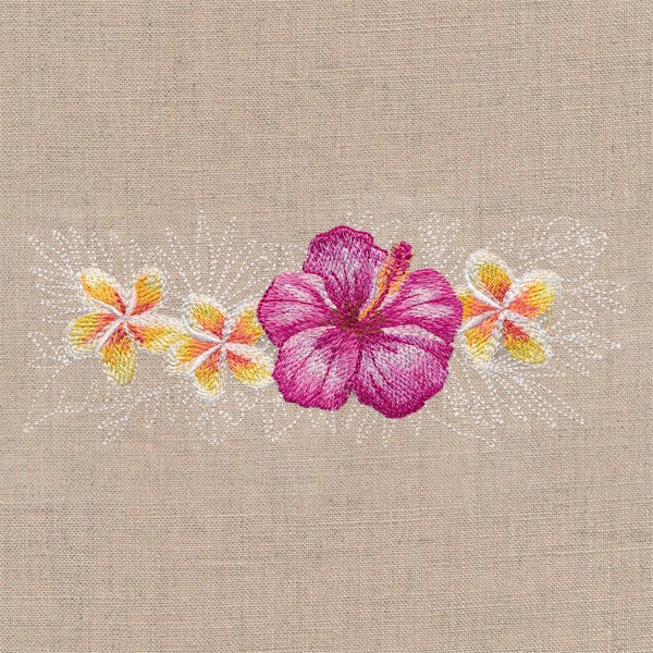 Heavenly Hibiscus Border