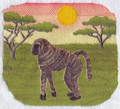 Savanna Baboon Scene