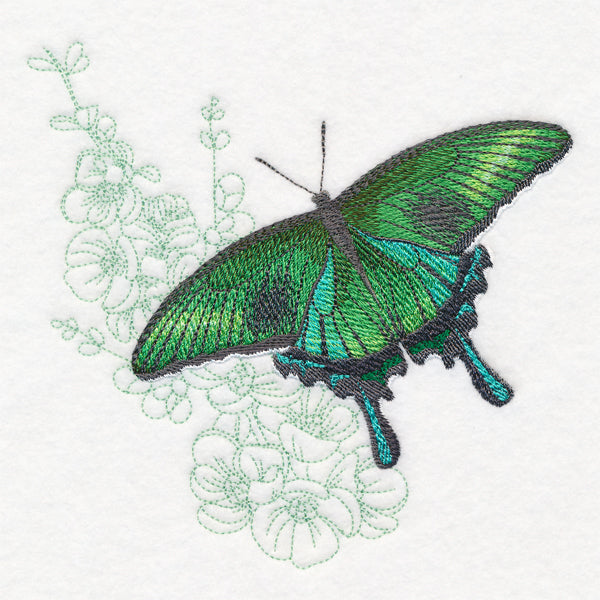 Butterfly with Cherry Blossoms Echo