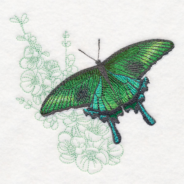 Butterfly with Cherry Blossoms Echo